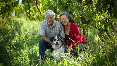 Ela Family Farm - Collection