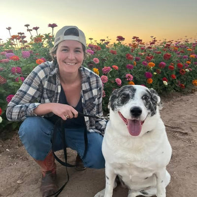 Blue Bees Trading CO