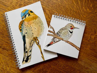 Notebook Collection