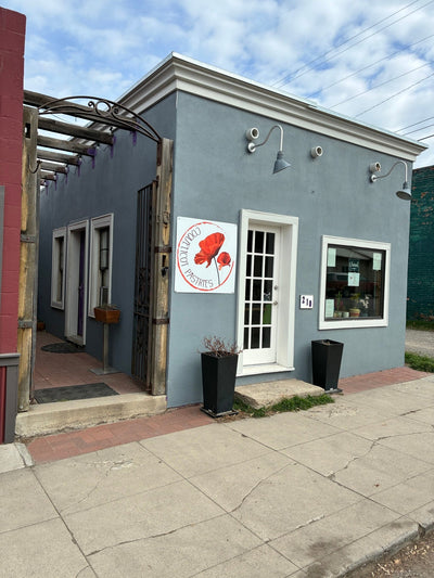 Coquelicot Pastries - Collection