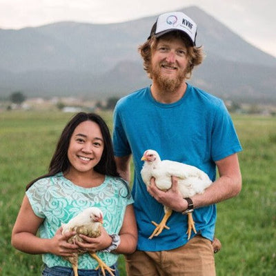 Mountain Bird - Collection