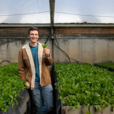 Figure 8 Farming - Collection