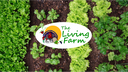 The Living Farm - CSA