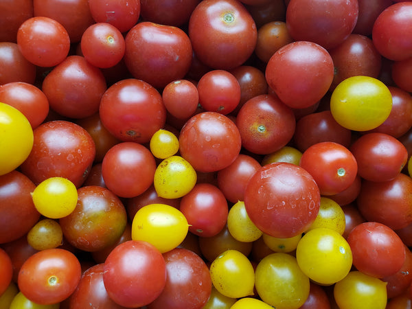 Cherry Tomatoes - The Living Farm