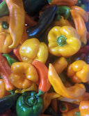 Sweet Peppers