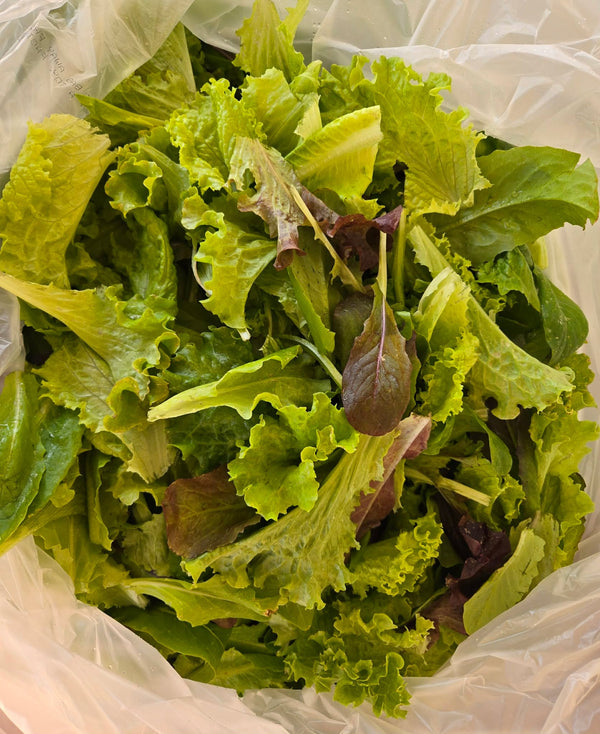 12 oz Lettuce Blend — from Farm on Maple Drive