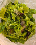 12 oz Lettuce Blend — from Farm on Maple Drive