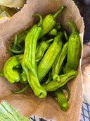 Shishito Peppers - Farm on Maple Drive