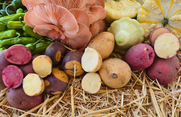 Rainbow Potatoes - Farm on Maple Drive
