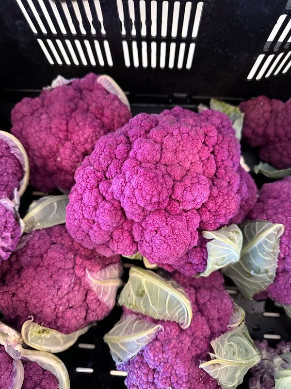 Purple Cauliflower - Pantoja's Farm