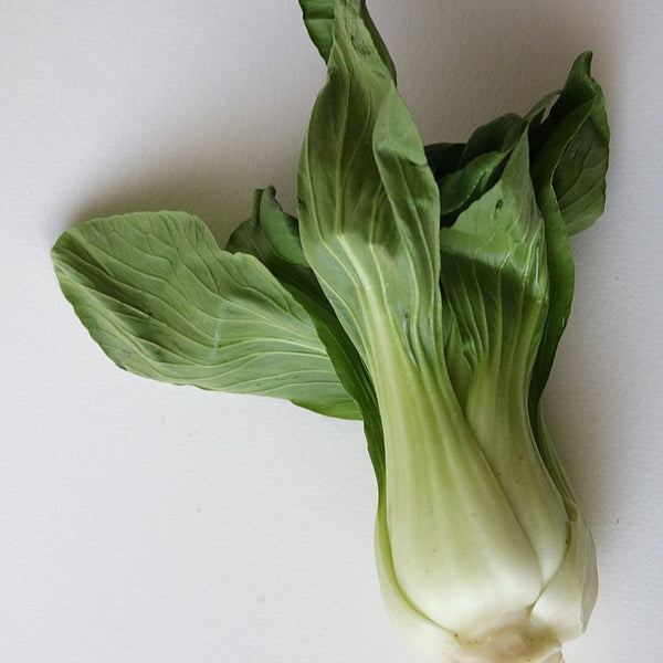 Bok Choy - Stuart Kramer