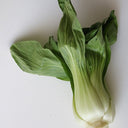 Bok Choy - Stuart Kramer