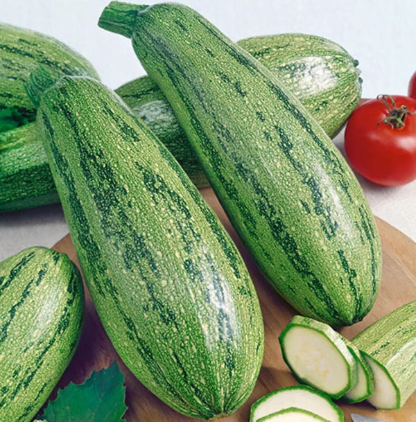Caserta Squash - Farm on Maple Drive