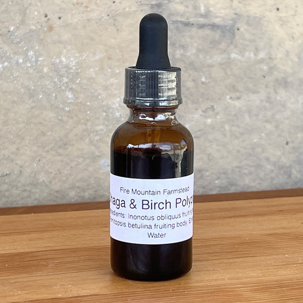 30 mL Chaga and Birch Polypore Extraction Tincture