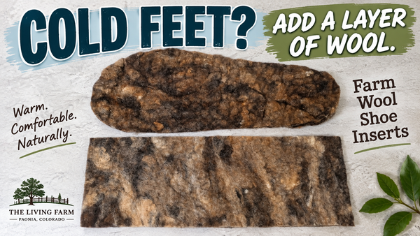 Felted Wool Shoe Inserts - The Living Farm