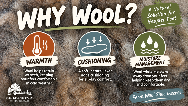 Felted Wool Shoe Inserts - The Living Farm