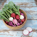 Easter Egg Radish - Stuart Kramer