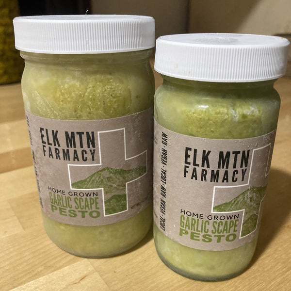 Garlic Scape Pesto