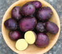 Harvest Moon Potatoes - Thistle Whistle