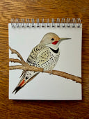Northern Flicker Journal