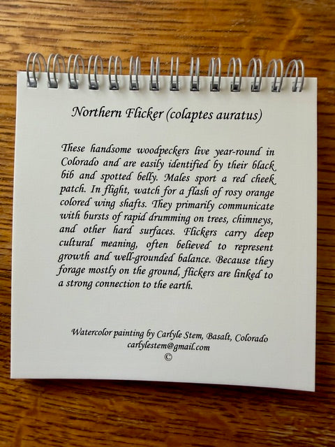 Northern Flicker Journal