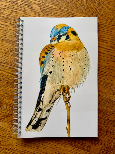 American Kestrel Journal