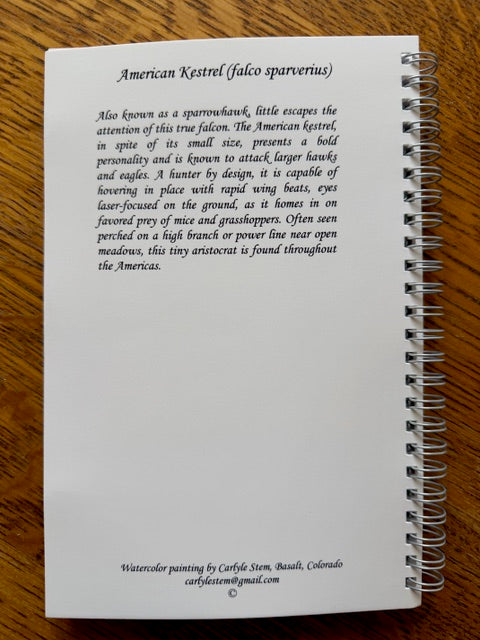 American Kestrel Journal