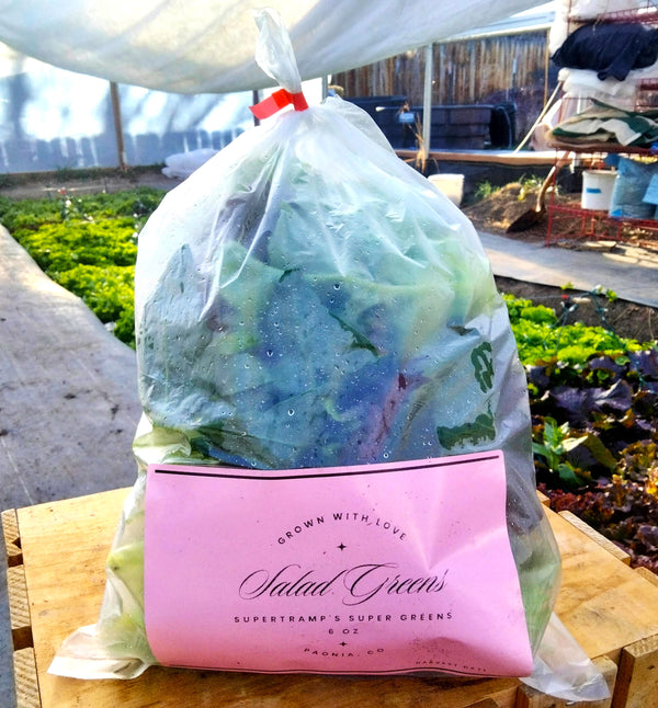 Salad Greens Mix