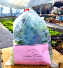 Salad Greens Mix