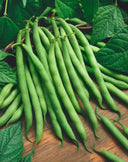 Provider Green Beans- Jyoti's Seeds For Change