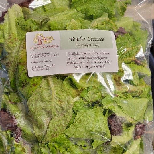 Tender Lettuce