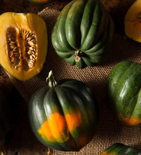Acorn Squash - Pantoja's Farm