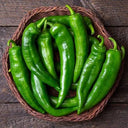 Anaheim Peppers — Pantoja's Family Farm