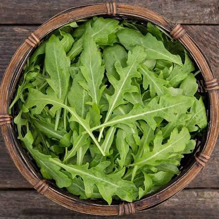 Wild Arugula - Jyoti's Seeds For Change