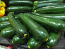 Green Zucchini - Pantoja's Farm