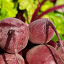 Beets - Stuart Kramer