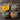Winter Squash — from Farm on Maple Drive