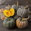 Winter Squash — from Farm on Maple Drive