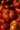 Heirloom Tomatoes - Abundant Life Organic