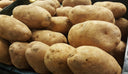 Russet Potatoes - Lance Swaggert