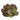 Brune D'Hiver Romaine Lettuce Heads