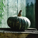 Buttercup Squash - Pantoja's Farm