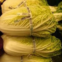 Baby Napa Cabbage - Groundwork