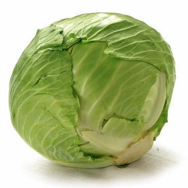 Medium Green Cabbage