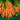 Carrots - Groundwork