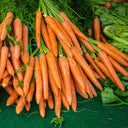 Carrots - Groundwork