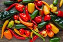 Peppers - Farm on Maple Drive