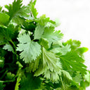 Cilantro Bunches - Groundwork