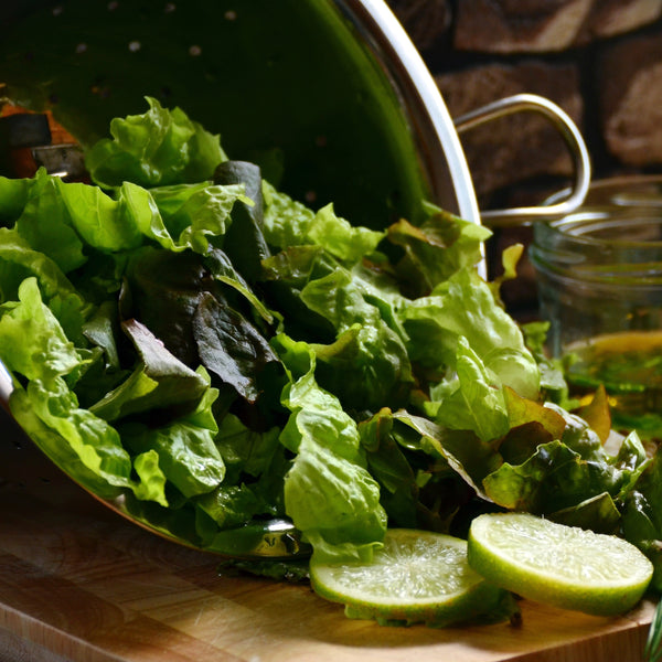 Spring Lettuce Mix - Jyoti's Seeds For Change