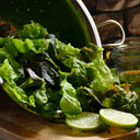 Spring Lettuce Mix - Jyoti's Seeds For Change